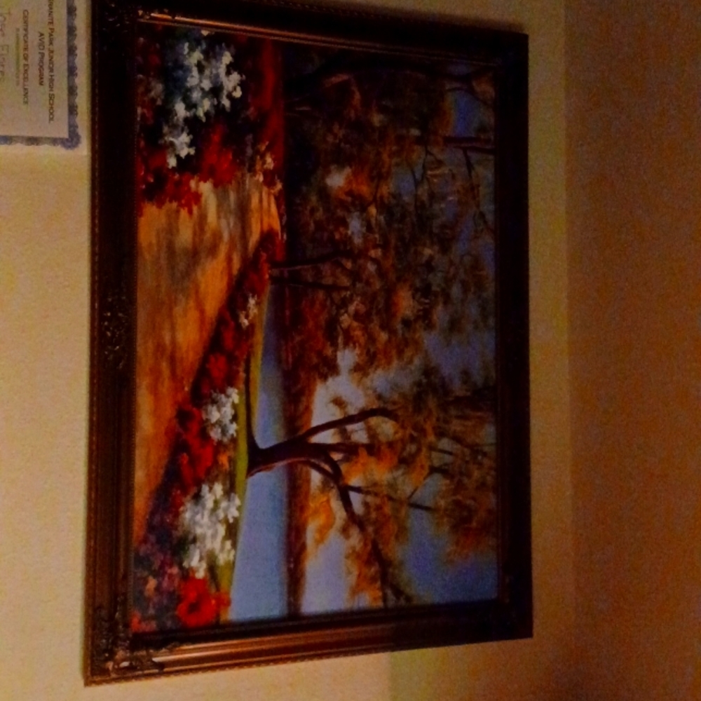 Picture
